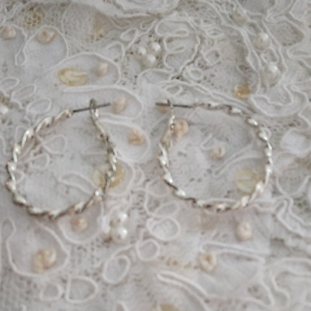 Elegant Silver Twisted Hoop Earrings